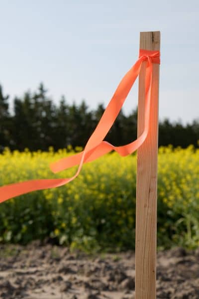 Wooden survey stake with orange ribbon marking a property boundary in a Miami backyard
