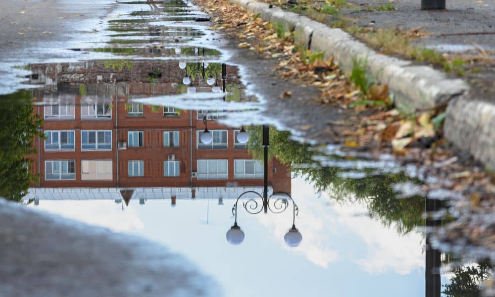 Water pooling along a street curb after rain, showing how small elevation differences can impact property drainage